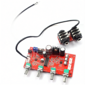 Risym | Reverb Karaoke Board with Preamp Support Both AC and DC