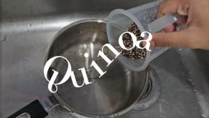 Zenfiber Organic Quinoa - White & Tricolor (1kg/500g)