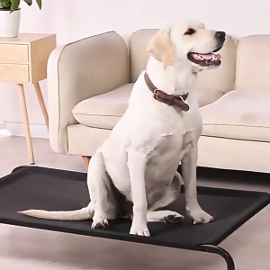 เตียงสัตว์เลี้ยง ที่นอนหมา ที่นอนสัตว์เลี้ยง ขนาดใหญ่ ระบายอากาศ กันความชื้นได้ดี ผ้าตาข่าย