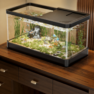 XINGYOU | Home Compact Filter Oxygen Pump
