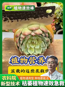 Plant emergency kit universal slow-release fertilizer for green plants and flowers nutrient stick for rooting and improving soil quality 植物急救棒