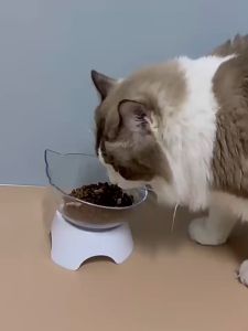 Mangkuk Kucing Plastik Double & Pelindung Leher Hewan Peliharaan