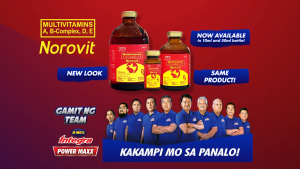 B-MEG POWERMAXX - NOROVIT - All-in-One Multivitamins A B-Complex D E - Available in 10ml 50ml 100ml - (Pang-Kundisyon Panlaban Stress Pampalakas-Resistensya Pampagana Kumain Fertility Booster)