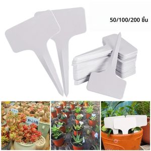 ป้ายติดต้นไม้พลาสติก PVC สีขาว 50/100/200 ชิ้น รูปตัว T สำหรับติดป้ายในสวน ป้ายติดต้นกล้า ป้ายติดกระถาง ป้ายตกแต่งสวน ขนาด 6x10 ซม.