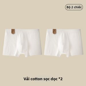 Baisina | Quần Lót Nam Thoáng Khí Chống Khuẩn Cotton