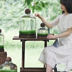 Creative Fresh Country Style Glass Flower Vase with Wooden Balls