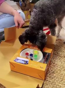 Mont Marte DIY Personalised Pet Bowl Kit - Paint Your Own Dog or Cat Bowl