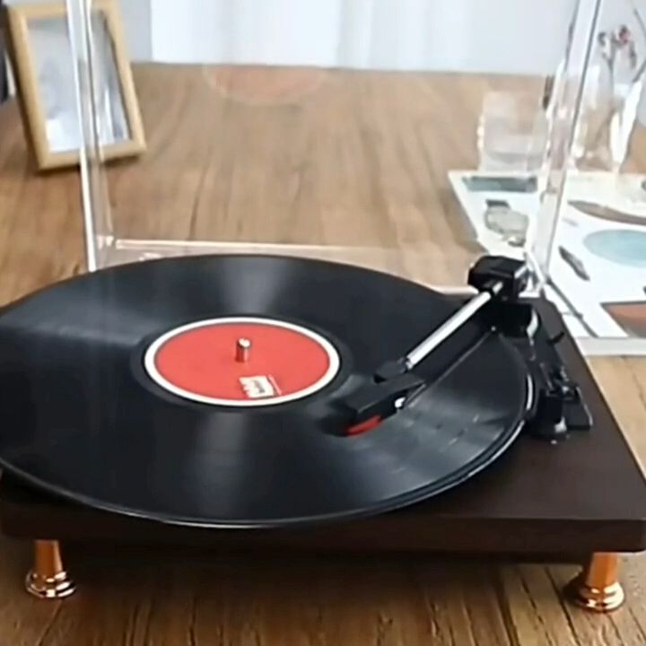 Pemutar Piringan Hitam Vinyl Player Turntable Vinyl Record Player