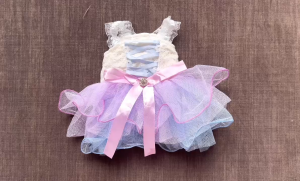 VÁY TÂY ÂU XOÈ SIÊU SANG TRỌNG TỪ 0.5-9KG DÀNH CHO THÚ CƯNG CHÓ MÈO