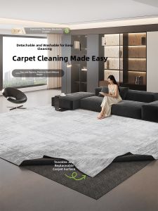AOVOC | Machine Washable Carpet Modern Simple Gray