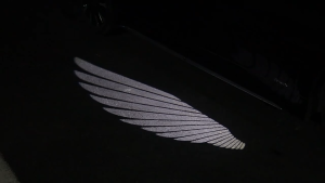 Toyota Alphard vellfire AGH40 2023-2025 car angel wing welcome light