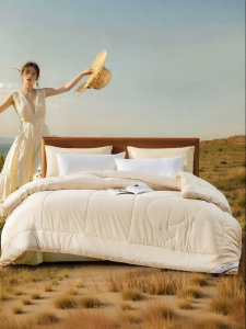 FUANNA (富安娜) | A Class Wool Quilt
