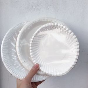 Set 50 Đĩa Nhựa Dùng 1 Lần 15Cm/ 23Cm - Dĩa Nhựa Ăn Bánh Sinh Nhật - Combo 50 Dĩa Nhựa Đựng Thức Ăn  Đựng Trái Cây Hình Tròn Dùng 1 Lần Tiện Lợi