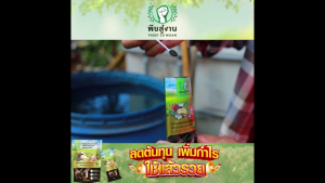 (พร้อมส่ง) พืชสู้งาน สารเพิ่มประสิทธิภาพสำหรับดินและพืช 3in1 ปรับสภาพหน้าดิน ทำให้พืชสมบูรณ์ มีภูมิคุ้มกัน จำนวน 3 แพค บรรจุ 10 ซอง/แพค ชนิดผง