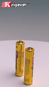 Kingever 40pcs Orignal Extra Heavy Duty Gold High Power AAA R03P Battery