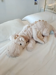 70/110cm Flying Dragon Plush Toy Soft Fluffy Cartoon Stuffed Toy Oversized Plush Dolls Kids Gifts Big Animal Pillow