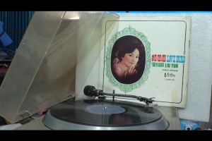 1 แผ่นเสียง 12นิ้ว 324 LIU YUN LOVE BIRD แผ่นVG+ริ้วรอยบาง เสียงรบกวนนิดหน่อย ไม่มีรอยลึก แผ่นล้างทำความสะอาดแล้ว ปกVG+มีตำหนิขอบนิดหน่อย ขอบไม่ขาด สันไม่ทะลุ