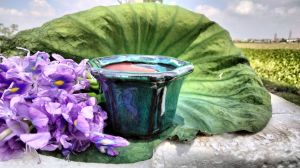 Chậu bonsai mini Bát Tràng men xanh hoả biến sáng bóng