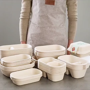 50Pcs Oval Sugarcane Bagasse Boxes Eco-Friendly Food Container Microwavable W/ Paper lid or Plastic Lid