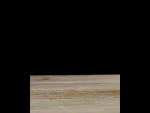 Mola Gula Aren Cair Premium Organik 1 liter