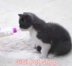 Bình ti chó mèo 50cc bú ngoài có núm vú mềm silicon cho thú cưng sơ sinh uống sữa hoặc thuốc - GiGi Pet Shop