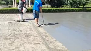 ลูกกลิ้งหนาม ขนาด 9 นิ้ว