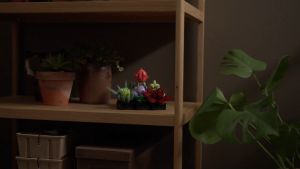 🚚ส่งภายใน24ชม🚚พืชฉ่ำเข้ากันได้กับเลโก้ 1:1 รูปแบบอาคาร (771 ชิ้น) ประกอบบล็อกอาคารของเล่นเพื่อการศึกษาคอลเลกชันของขวัญตกแต่ง