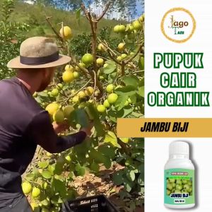Pupuk Organik Cair Jambu 100 Ml Membantu Agar Cepat Berbuah Lebat Dan Subur By Jagotani Yogyakarta