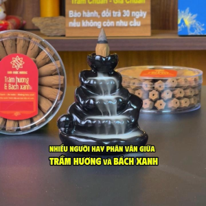 Nhang nụ trầm hương mix bách xanh xông nhà có khói ngược Sơn Mộc Hương thơm dịu nhang sạch