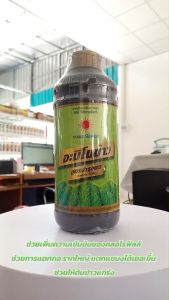 ปูยน้ำ อมินโน้แห้ง สูตรบำรุงต้น ช่วยแตกกอ ใบเขียว ใบสมบูรณ์ ขนาด 1 ลิตร ดวงตะวันเพชร