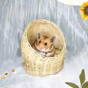 SARANG HAMSTER ROTAN || TEMPAT SEMBUNYI HAMSTER ROTAN NATURAL