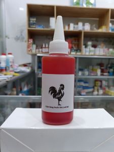 Hồng sâm protease kích lực gà