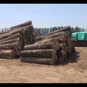 Wooden Board Custom Made Solid Wood Boards Solid Wood Material Paulownia Wood Board VLWM