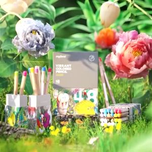 Bút chì màu gốc dầu Mideer Vibrant Colored Pencil Chì vẽ chuyên nghiệp thiết kế phác họa cho bé