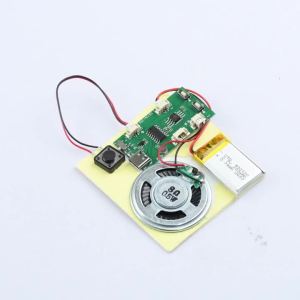Aideepen | DIY Recording Playback Module 8MB MP3 Audio Chip Type-C Charge One-key Record Rechargeable for Greeting Card 3D Book