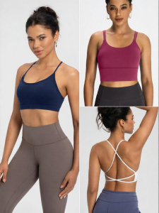 Nylon 66 Quick-drying Sports Bra for Yoga Pilates