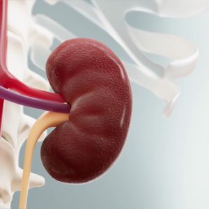 Obat Batu Ginjal Paling Ampuh Penghancur Batu Ginjal Kencing Batu Gagal Ginjal Cuci Darah Kencing Sakit Batu Ginjal Sembuh Ginjal Sembuh Ginjal Bocor Galgin Karomah Gangjie Denature Original