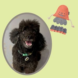 Munikund Dog Toy Bundle of 2 Toys | Soft Plush Squeaky | IQ Sniffing Training Tug Rope | Interactive Puzzle Toy Nosework