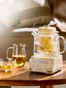APIXINTL | Glass Multifunctional Kettle Cooker