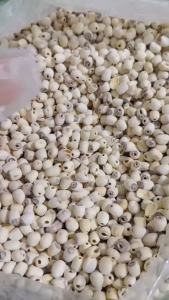 [ ẢNH THẬT ] 500G Hạt Sen Loại Ngon Thơm Bùi Dùng Nấu Chè Hầm Canh Làm Sữa Hạt