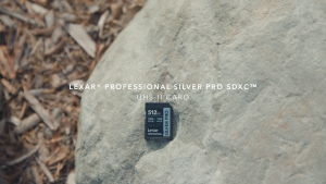 Lexar 512GB SDXC Professional Silver Pro