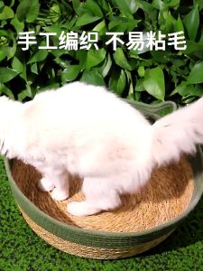 Hand-Woven Rattan Cat Bed Manual Kitten Nest Washable Breathable Cool Puppy House Sleep Scratching Board