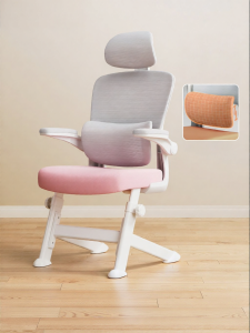 ZHIXUEKU | Ghế Học Tập Hỗ Trợ Đốt Sống Điều Chỉnh Ergonomic