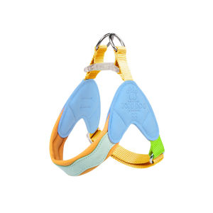 FENGCAO | Lightweight Breathable Dog Harness and Leash