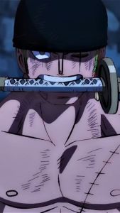 KIZARU Kaos Anime One Piece RORONOA ZORO