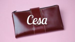 Dompet Kulit Wanita Dompet Panjang Wanita Perempuan CESA Wallet Model Terbaru Kekinian Dari Kulit Sapi Premium