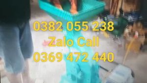 Máy nghiền thức ăn chăn nuôi nghiền ngô khoai sắn tre cho Dúi