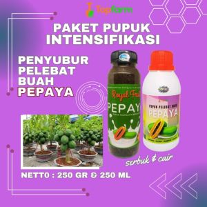 Pupuk Pepaya Berbuah Lebat / Pupuk Buah Pepaya Super Lebat / Pupuk Penyubur Pohon Pepaya / Pupuk Pembesar Pohon Pepaya / Pupuk Booster Cair Untuk Pepaya