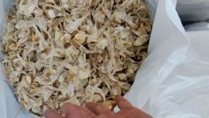 Ikan Asin Bulu Ayam Kering Pilihan - Kemasan 250g untuk Lezatnya Tradisi