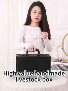 Professional Carrying Makeup Case with Mirror Large Capacity for Manicure Beauty Eyelash Eyebrow Makeup Artists and Tattoo Tools